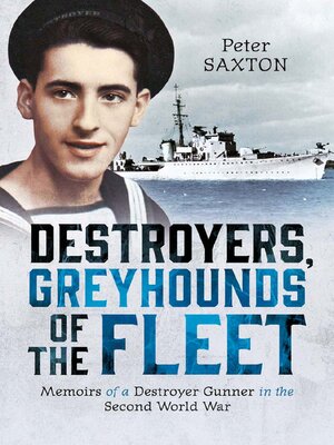cover image of Destroyers, Greyhounds of the Fleet